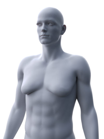 3d prikaz moškega telesa z ginekomastijo